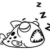 изображение_viber_2020-10-01_16-33-222