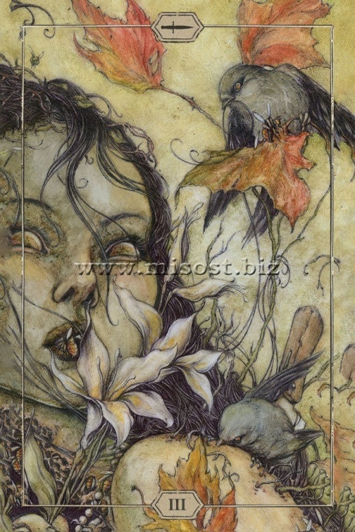 Таро Тишины (Hush Tarot) by Jeremy Hush